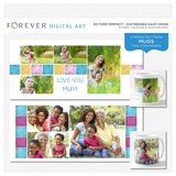 Picture Perfect - Distressed Daisies Mugs