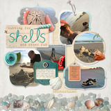 Everyday 3 Collection