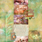 Forever Grateful Collection