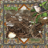 Viva La Printemps Mega Bundle