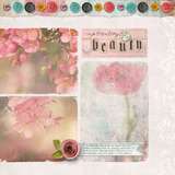 Everyday 3 Collection