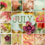 Everyday 3 Collection