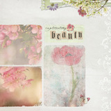 Spring Medley Element Pak