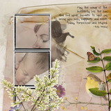 Winged Hope Collection