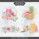 A Song Of Summer Watercolors