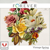 Vintage Spring Mega Jumbo Bundle DOD