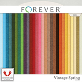 Vintage Spring Jumbo Mega Bundle