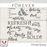 Vintage Spring Jumbo Mega Bundle