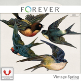 Vintage Spring Jumbo Mega Bundle