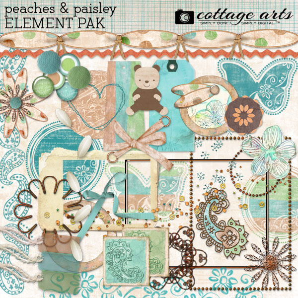 Peaches And Paisley Element Pak Digital Art - Digital Scrapbooking Kits