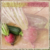 Click.Artistry Click.Masks 14