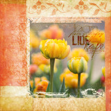 Click.artistry Click.masks 28