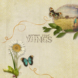 Winged Beauty Element Pak