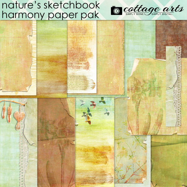 Harmony Collection | Digital Art