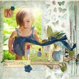 Arboretum Collection