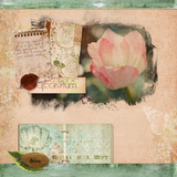 Arboretum Collection