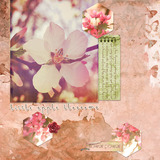 Arboretum Collection