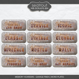 Memory Hoarders - Garage Finds Collection