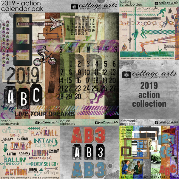 2019 Action Collection