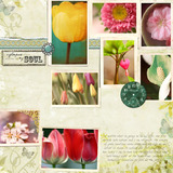 Scrap.frames 29 - Frame Sets