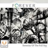 Serenity Of The Fall Sea Jumbo Bundle