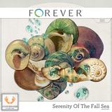 Serenity Of The Fall Sea Jumbo Bundle