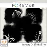 Serenity Of The Fall Sea Jumbo Bundle