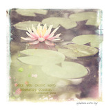 Photo Art Blends Collection