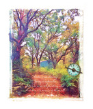 Photo Art Blends Collection