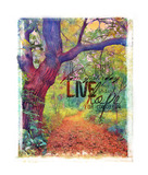 Photo Art Blends Collection