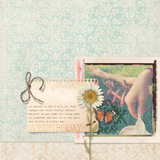 Photo Art Blends Collection