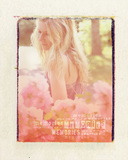 Photo Art Blends Collection