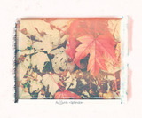 Photo Art Blends Collection