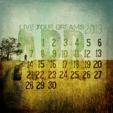 2019 Action Collection