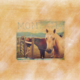 Click.artistry Photo Art Blends 1