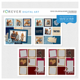 12x12 Color Blocked Yearbook