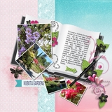 Tell Your Story - Special Exclusive