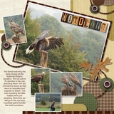 Tell Your Story - Special Exclusive