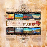 Gratitude 12x12 Pre-designed Book