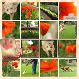 Gratitude 12x12 Pre-designed Book