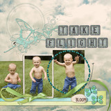 Take Flight Collection