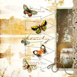Butterfly Wings 5 Page Pak