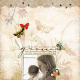 Butterfly Wings 5 Paper Pak