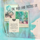 Watercolor Blends 2 Artisan Papers