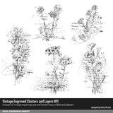 Booked Blue Botanical Scrapbooking Bundle