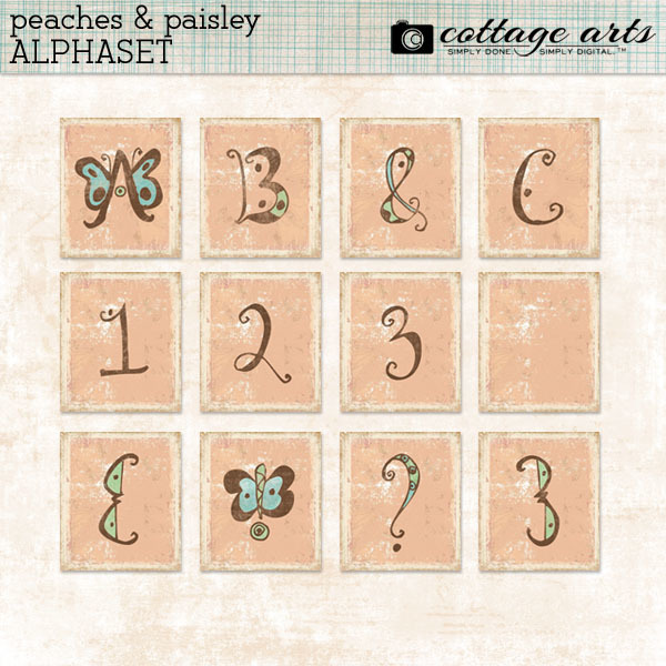 Peaches And Paisley AlphaSet Digital Art - Digital Scrapbooking Kits