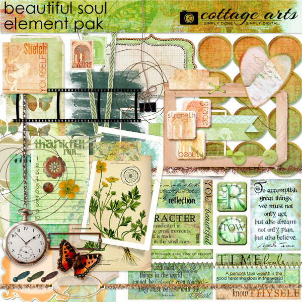 Beautiful Soul Element Pak Digital Art