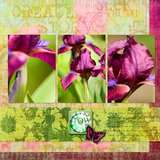 Beautiful Soul Element Pak