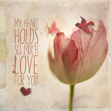 Quiet Of My Heart Paper Pak