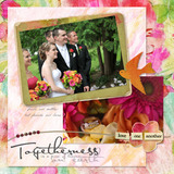 Wild Roses Collection